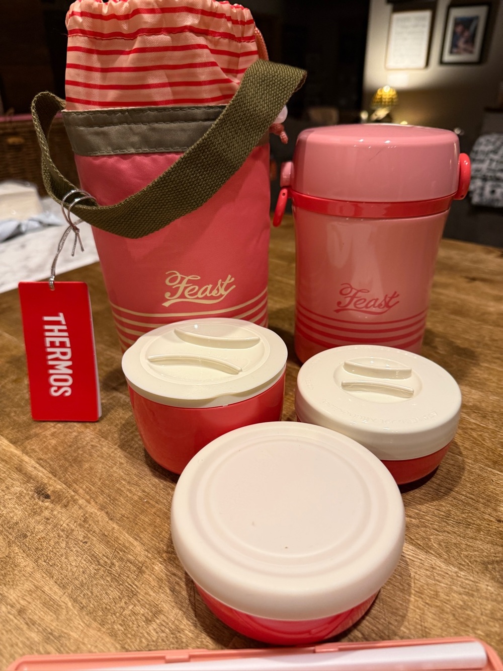 Thermos Pink Feast Insulated Food Japan Jar Set with Carry Pouch NWT